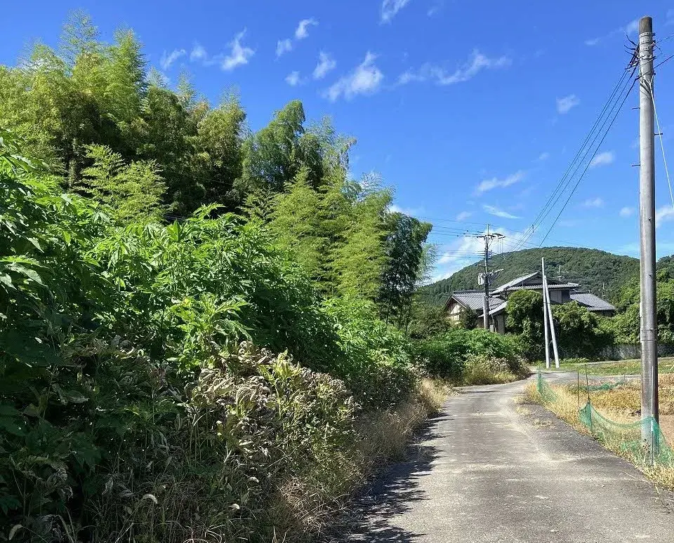 Slide 4