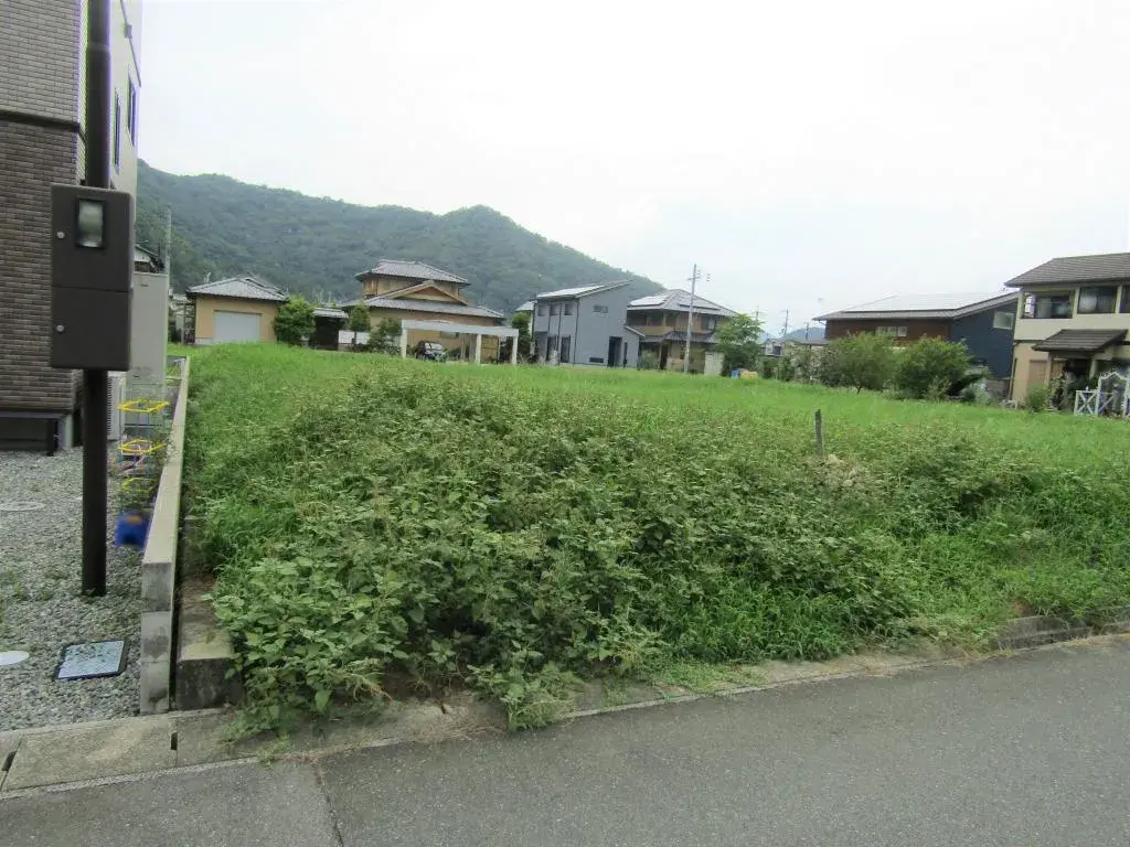 Slide 1