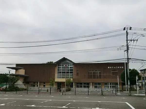 Slide 5