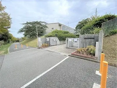 Slide 5