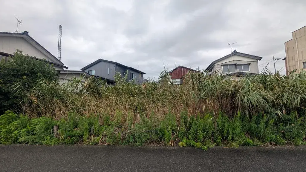 Slide 0