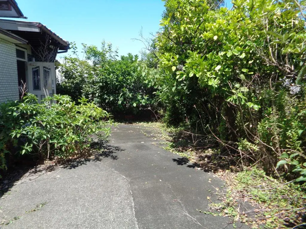Slide 3