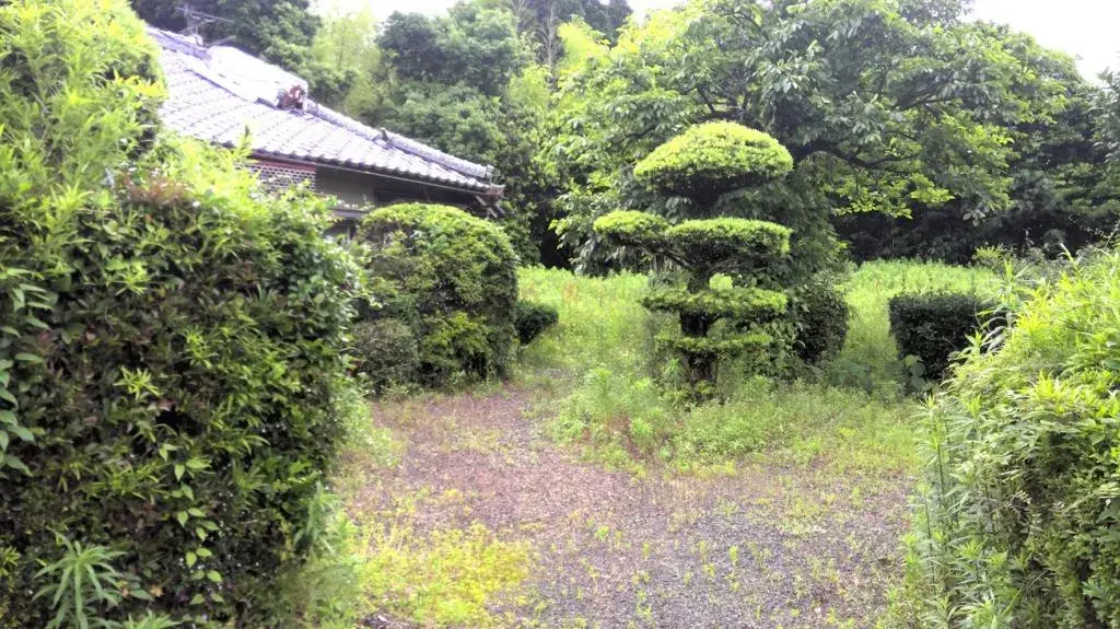 Slide 5