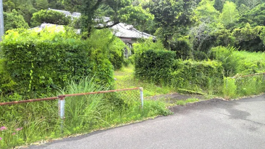 Slide 6