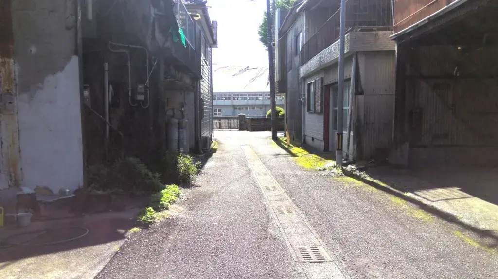 Slide 3