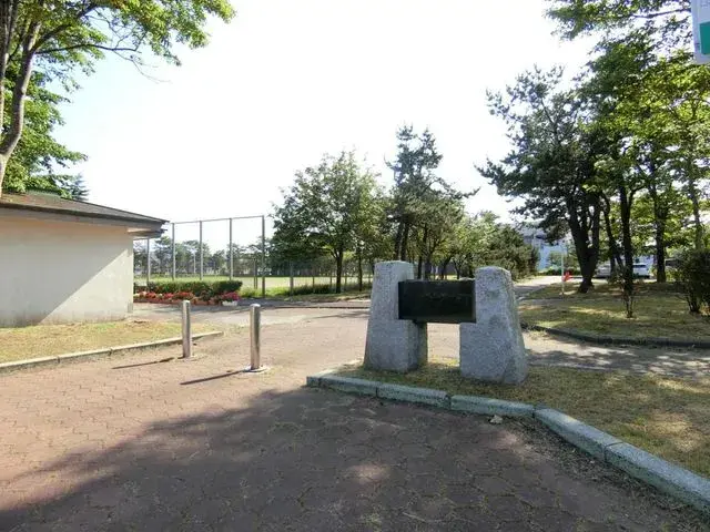Slide 8