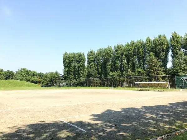 Slide 11