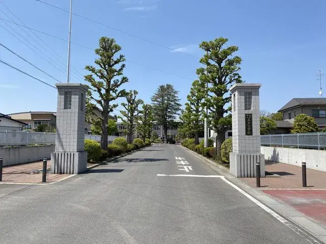 Slide 17