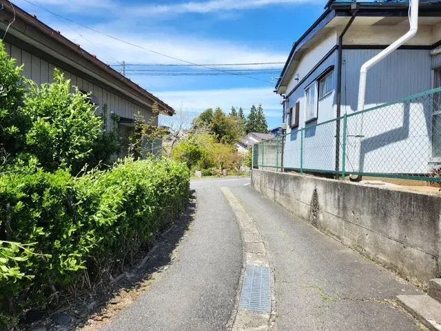 Slide 4