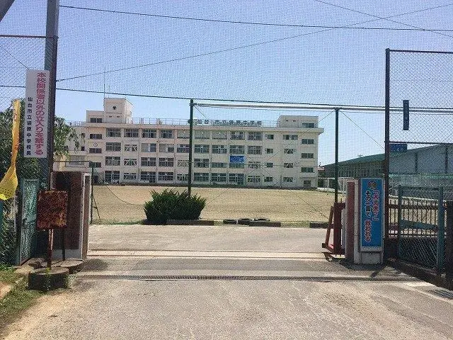 Slide 7