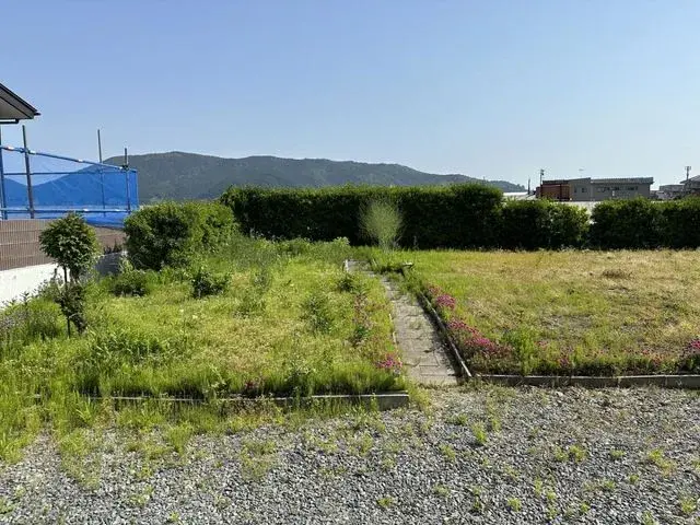 Slide 4