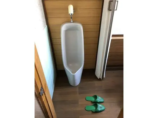 Slide 6