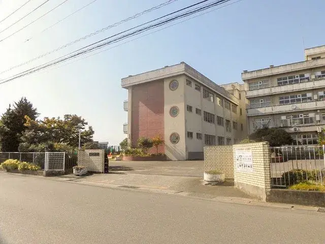 Slide 17