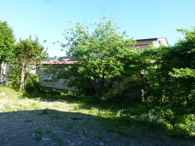 Slide 4