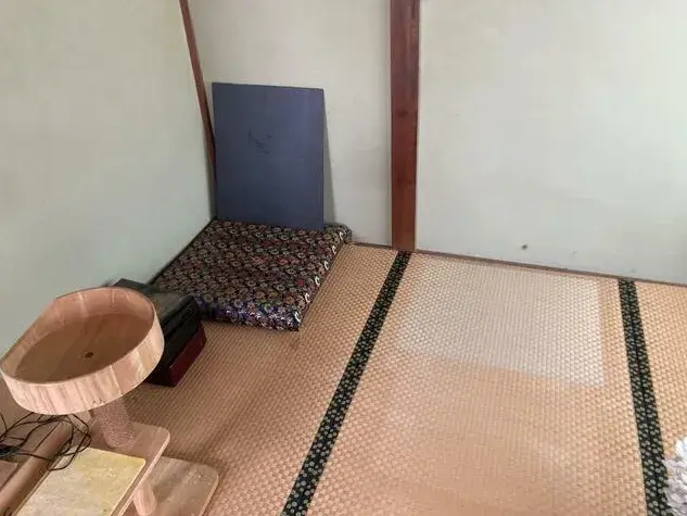 Slide 6