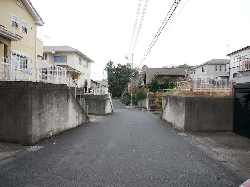 Slide 5