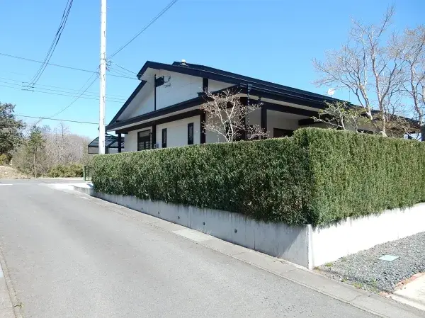 Slide 4