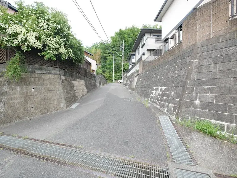 Slide 5