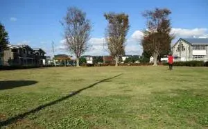 Slide 5