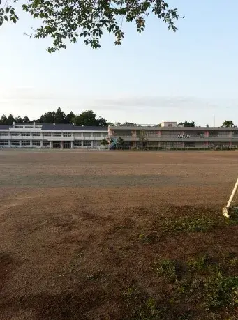 Slide 6