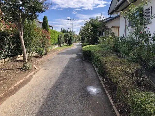 Slide 6