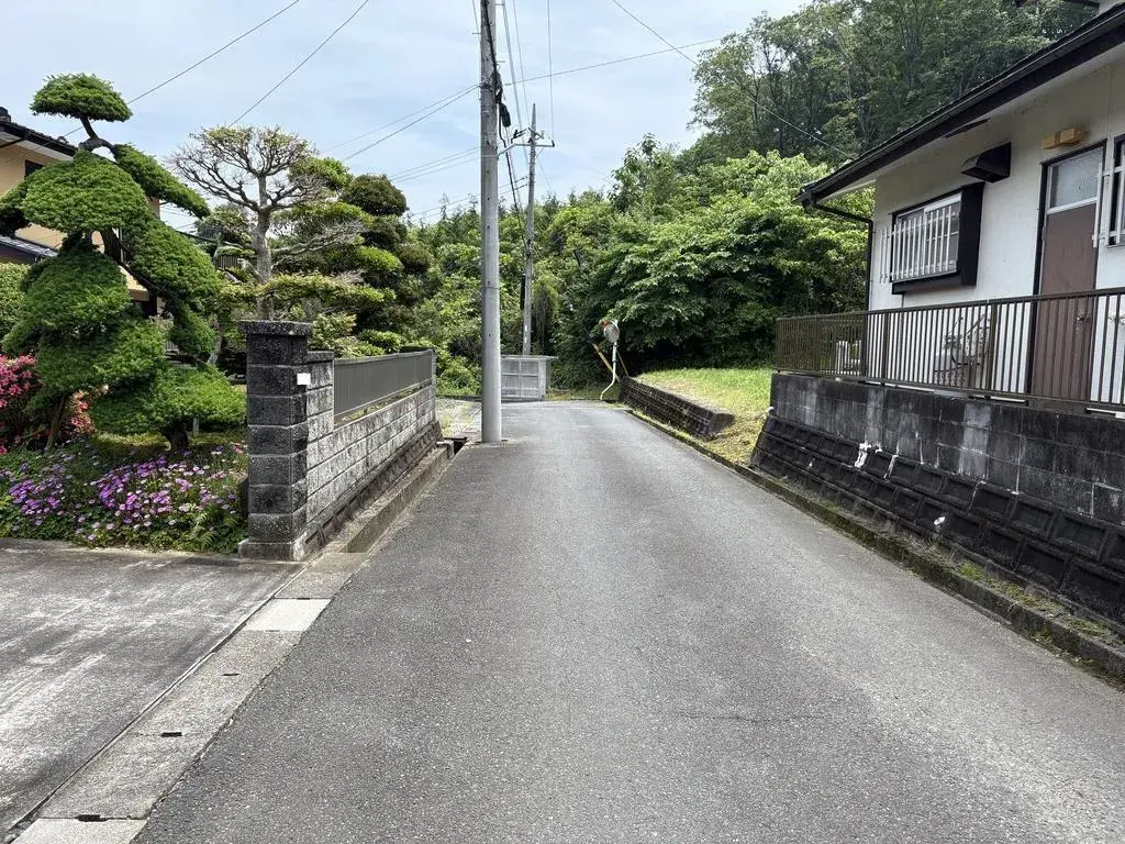 Slide 5