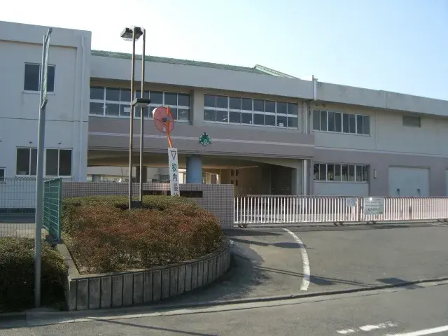 Slide 7