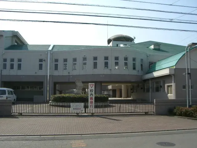 Slide 8
