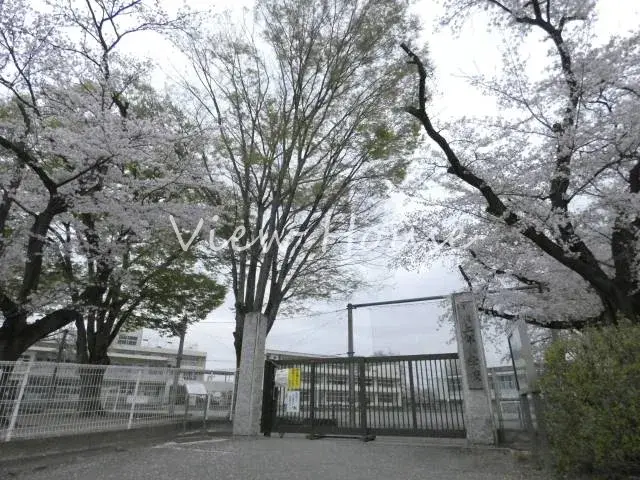 Slide 0
