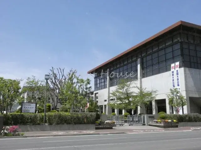 Slide 6
