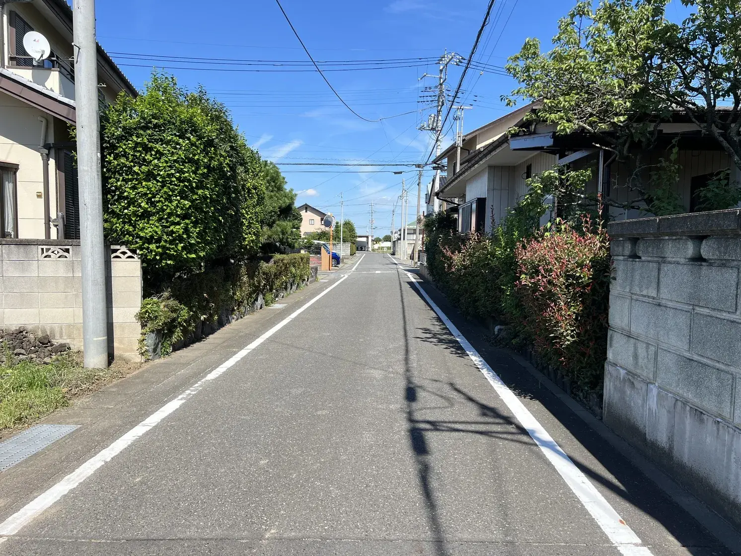 Slide 6