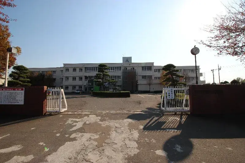 Slide 8