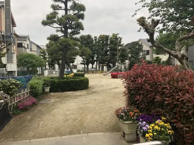 Slide 6