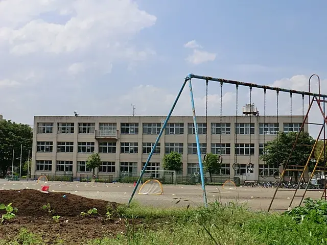 Slide 7