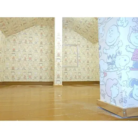 Slide 5