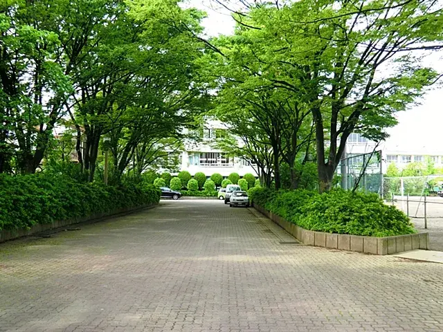 Slide 13