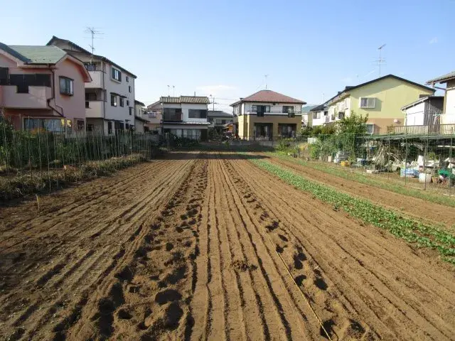 Slide 4
