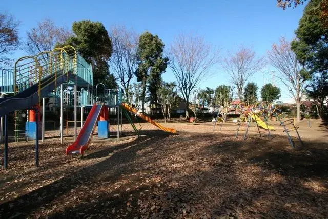 Slide 7