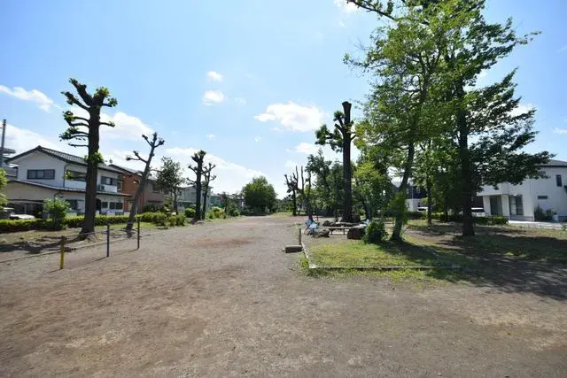 Slide 8
