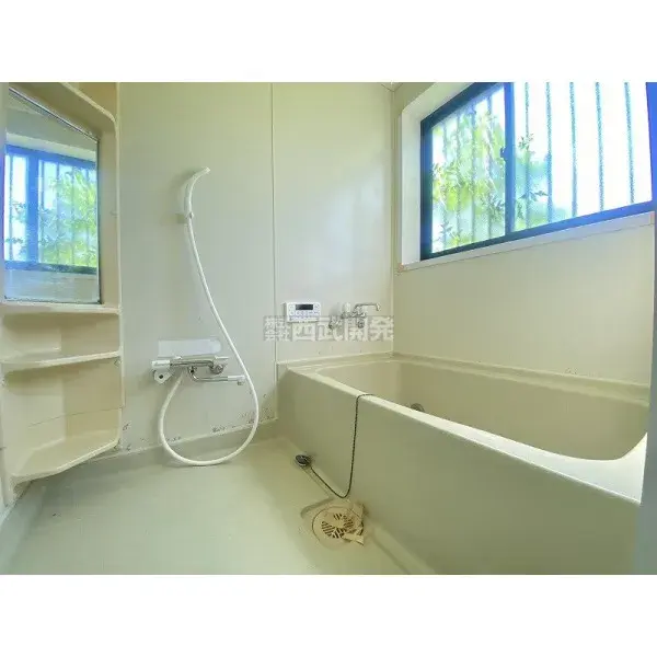 Slide 11