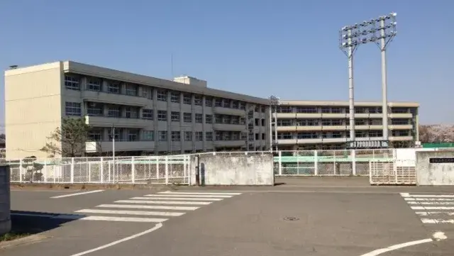 Slide 7