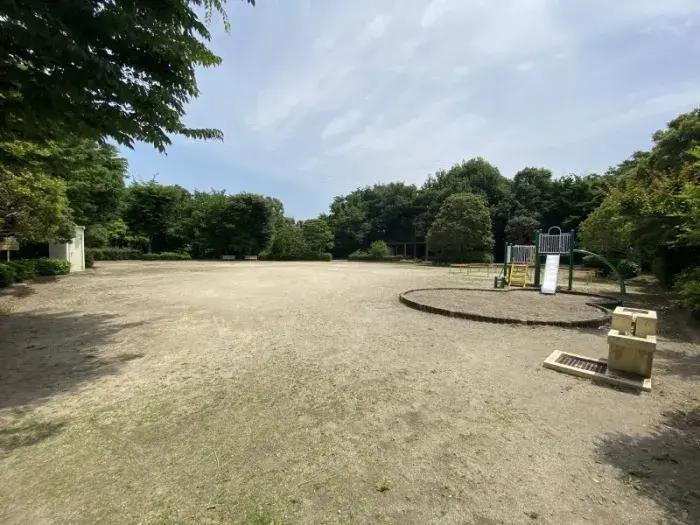 Slide 6