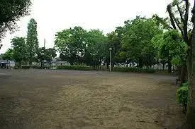 Slide 8