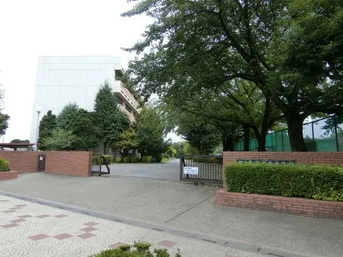 Slide 4