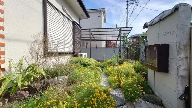 Slide 6
