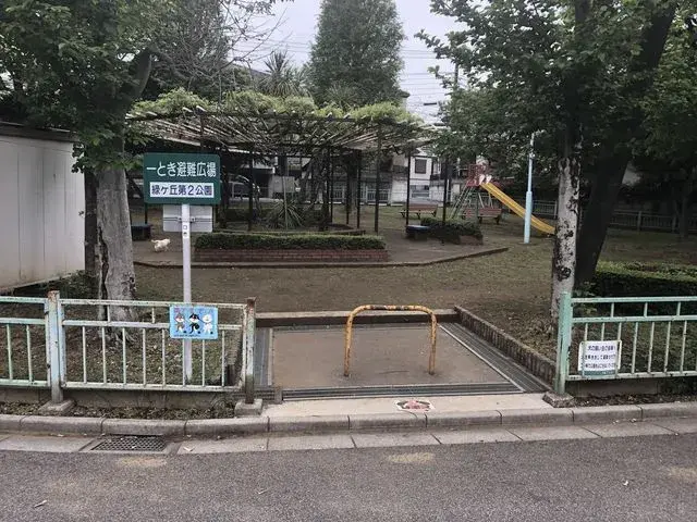 Slide 4
