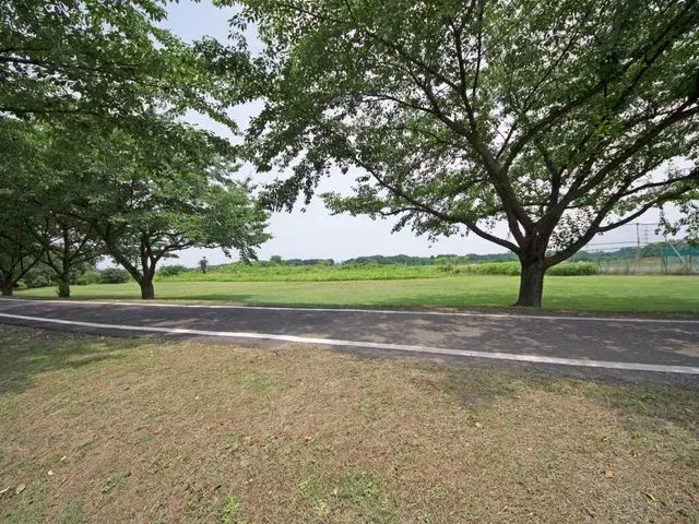 Slide 8
