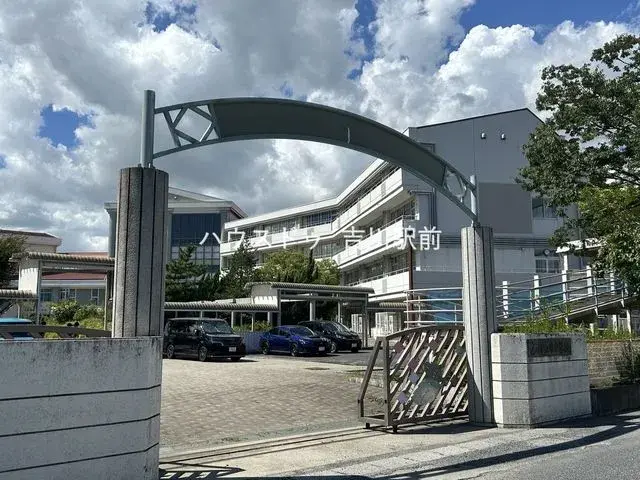 Slide 7