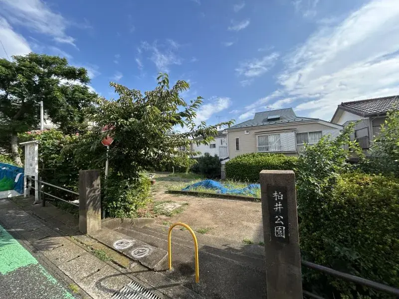 Slide 6