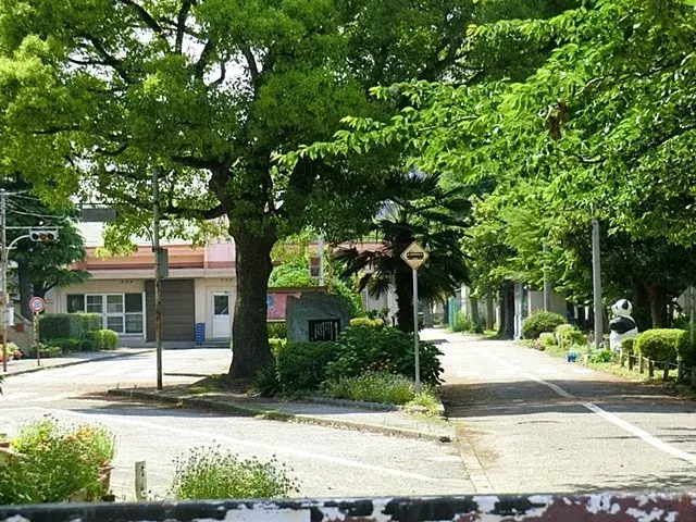 Slide 19